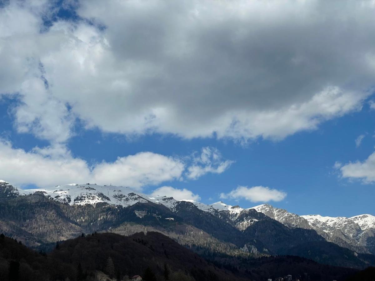 Kyra Luxury Penthouse Apartment Sinaia Bagian luar foto